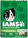 IAMS Adult Minichunks Small Kibble High Protein Dry Dog Food with Real Chicken, 38.5 lb. Bag