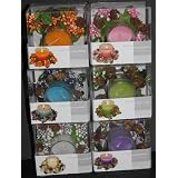 Scented Candles in 6 Different Colors, Clear Candle Votive, , Great Centerpiece Decoration!!
