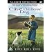 Cave Of The Yellow Dog [DVD]