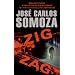 Zig Zag: A Novel