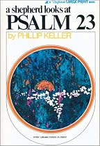 Shepherd Looks at Psalm 23, A