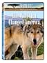 Nature: The Wolf That Changed America