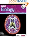 OCR A2