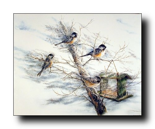 Chickadee Birdhouse on Tree Bird Animal Fine Art Print Poster (8x10)