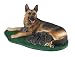 Wild Safari German Shepherd with Puppies