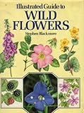 Illustrated guide to wild flowers