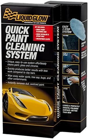 Quick Paint Cleaning System
