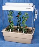 Hubbard Scientific 44510 Jewel Hydroponic Planter, Single, with Lights and bulbs