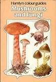 Mushrooms and fungi
