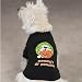 Pet Supplies : LARGE - BLACK - HALLOWEEN T-SHIRT - MOMMY'S LIL' PUMPKIN