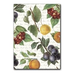 Thank You script with Botanical Fruit - 5" x 7" Vellum Overlay Greeting Card