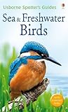 Sea & freshwater birds