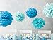 10pcs Tissue Hanging Paper Pom-poms Flower Ball Wedding Party Outdoor Decoration, Hmxpls Premium Tissue Paper Pom Pom Flowers Craft Kit(Blue)