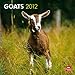 Goats 2012 Square 12X12 Wall Calendar