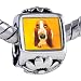 Basset Hound Dog Photo Beads - Pandora Bead & Bracelet Compatible