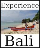 Experience Bali: A travel guide (2010)