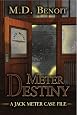 Meter Destiny (The Jack Meter Case Files)