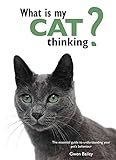 What is my cat thinking?
