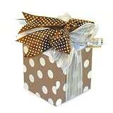 Foil Enhanced Note Cube & Pen Set- Brown & Silver