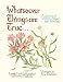 Books : Whatsoever Things Are True