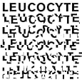 Leucocyte