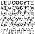 Leucocyte