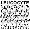  Leucocyte