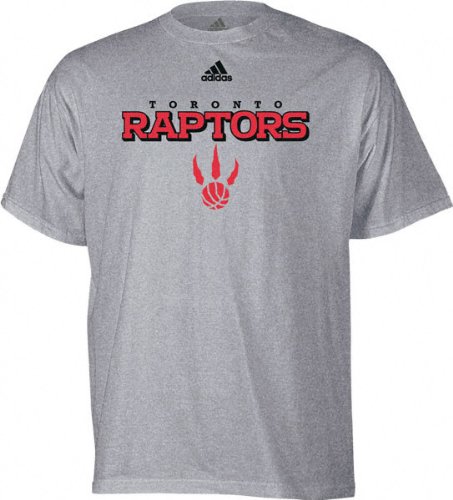 adidas Toronto Raptors Ash True T-shirt (X-Large)