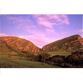 Photographic Prints of FL- Gol Mountains Ngorongoro Conservation Area from Ardea Wildlife Pets