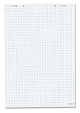 Produkt-Bild: Herlitz 10834141 Flipchartblock, 68x99cm (kariert/gelocht), 5 Bl&ouml;cke (20 Blatt je Block)