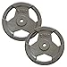 Suchen : POWER-EXTREME Hantelscheiben Guss Grip 2x 20Kg