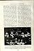C1920 England Ceremony Pricking Sheriffs Justice Court