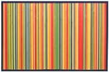 Laser Printed Split Bamboo Rainbow 3' x 5' Veranda Rug