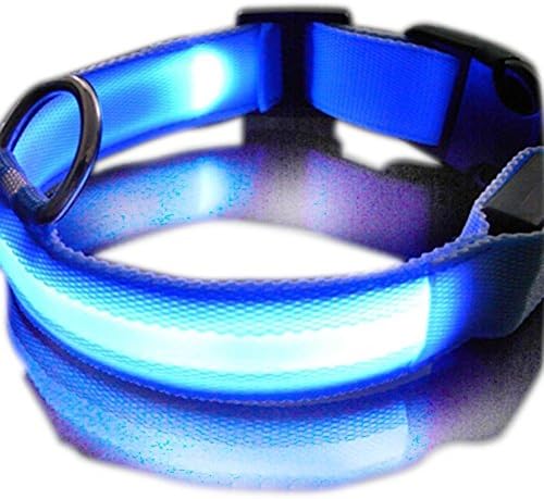 Flashing LED Dog Collar - No Battery Required (Blue, Extra Large)