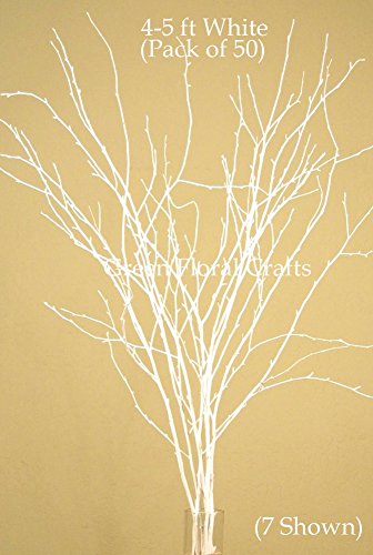 Green Floral Crafts SNOWY WHITE Birch Branches 4 5 Ft Bulk Pack Of 50 