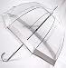 Outdoor Living : New Frame! Clear Dome Fulton Umbrella Silver