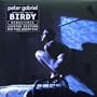 Birdy