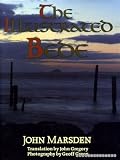 The illustrated Bede