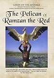 The Pelican of Ramzam Red