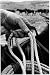 Close Up on Weather Beaten Hand of Whistle Mills Ranch Foreman Holding Rope by John Loengard, 48x72