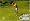 Tiger Woods PGA Tour 09 All-Play