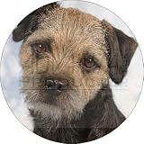 Border Terrier Dog Fridge Magnet Stocking Filler, Ref:AD-BT3FM