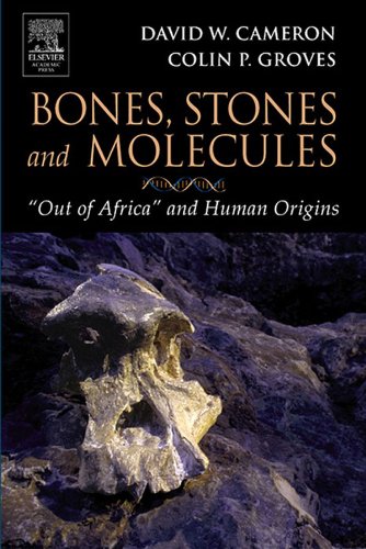 Bones, Stones and Molecules: 