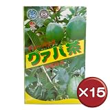比嘉製茶 グァバ茶 ティーバッグ(32袋入り) 15箱セット