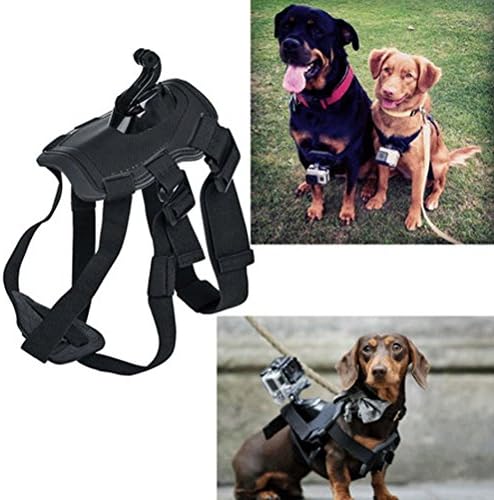 Dog Pet Harness Chest Back Mount Strap Belt For GoPro 2 3+ 4 Camera Acccessories