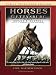 Horses of Gettysburg - Civil War Minutes IV Public Television Edition