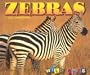 Zebras (Wild Ones)