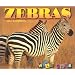 Zebras (Wild Ones)