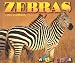 Zebras (Wild Ones) width=