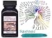 Noodlers Fountain Pen Ink - Squetegue (aqua blue-black)